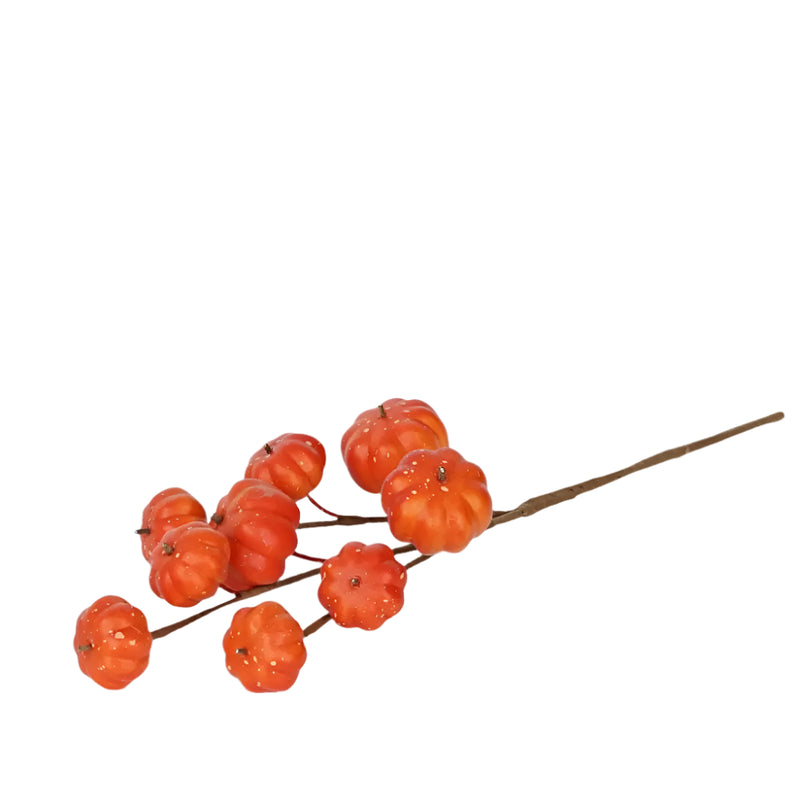 Mini Pumpkin Stem