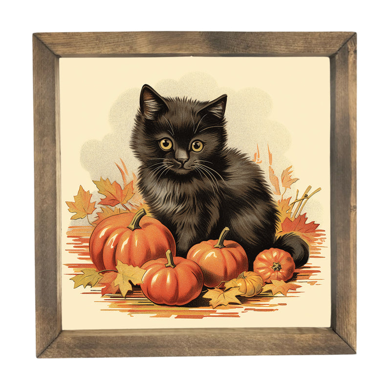 Cozy Kitten <br>Framed Art