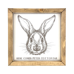 *CLOSEOUT* Peter Cottontail <br>Framed Art