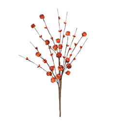 Mini Pumpkin and Berry Stem