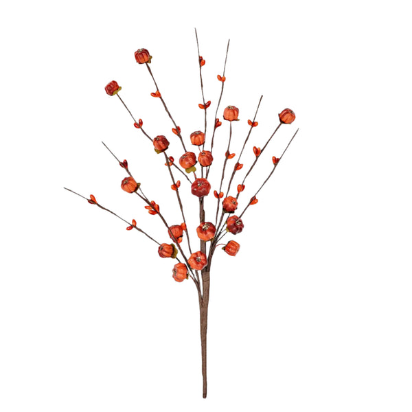 Mini Pumpkin and Berry Stem