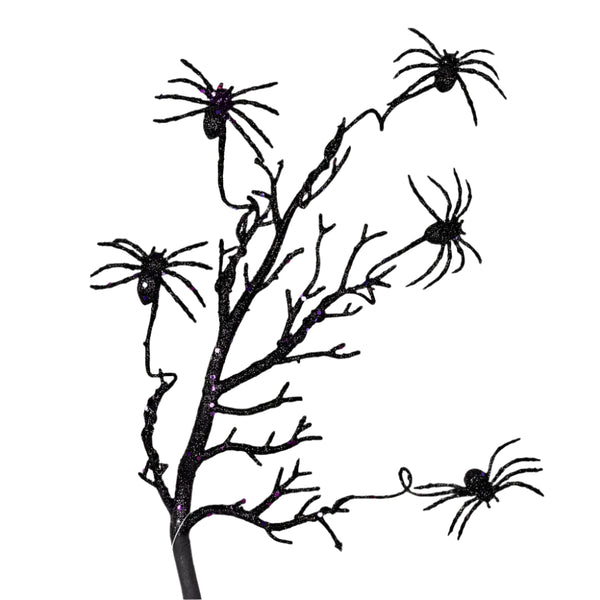 Black Spider Spray