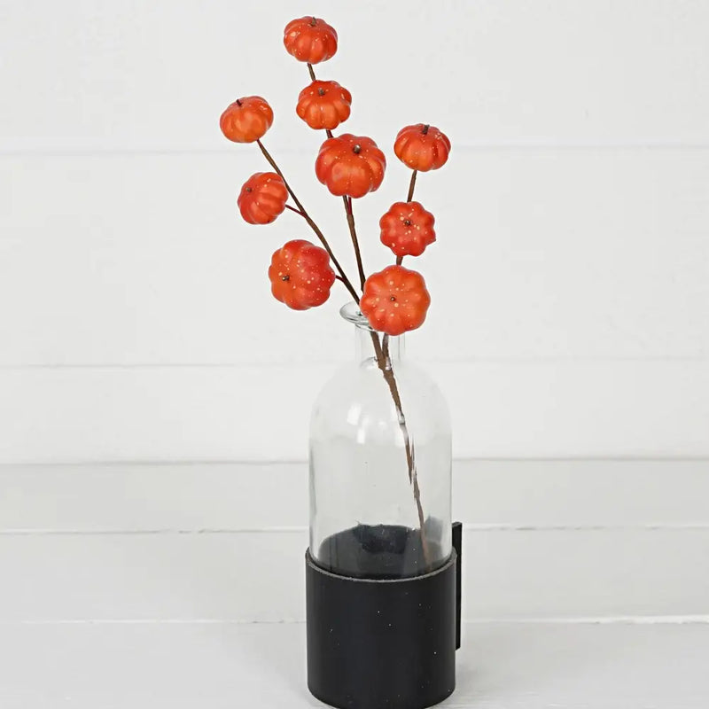 Mini Pumpkin Stem