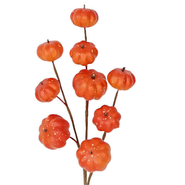 Mini Pumpkin Stem
