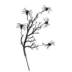 Black Spider Spray