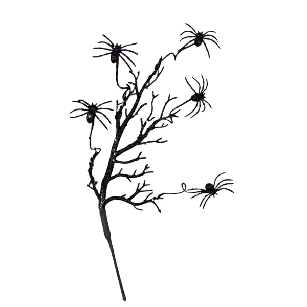 Black Spider Spray