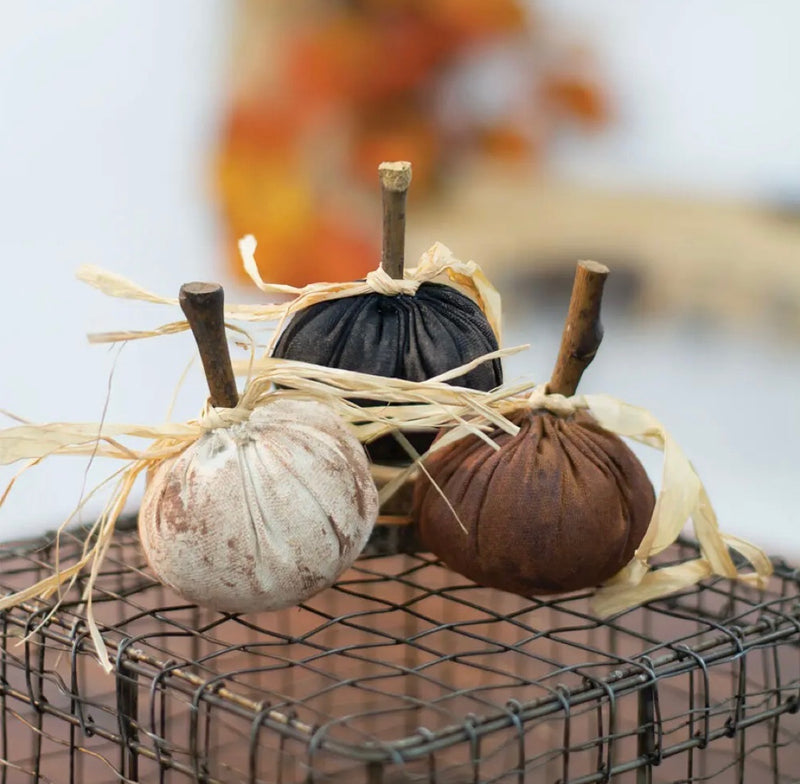 Gathered Pumpkins