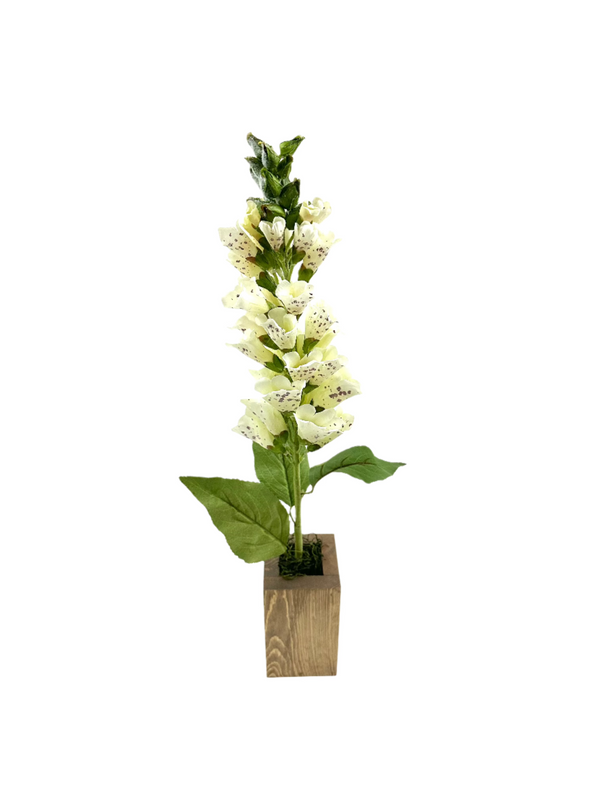 Foxglove Floral Stem