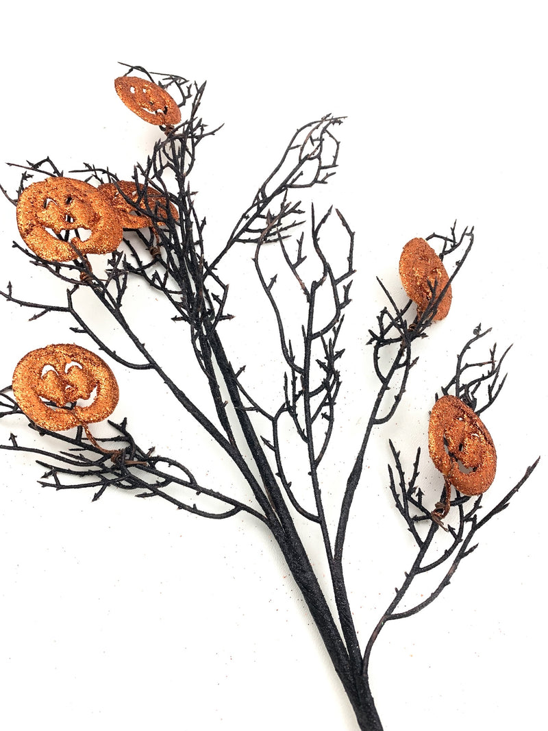 Black and Orange Pumpkin Spray