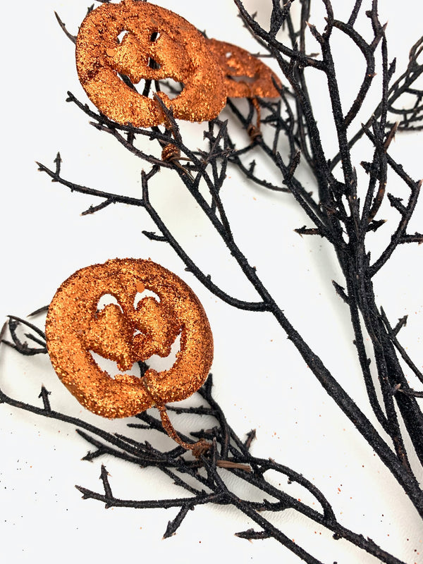 Black and Orange Pumpkin Spray