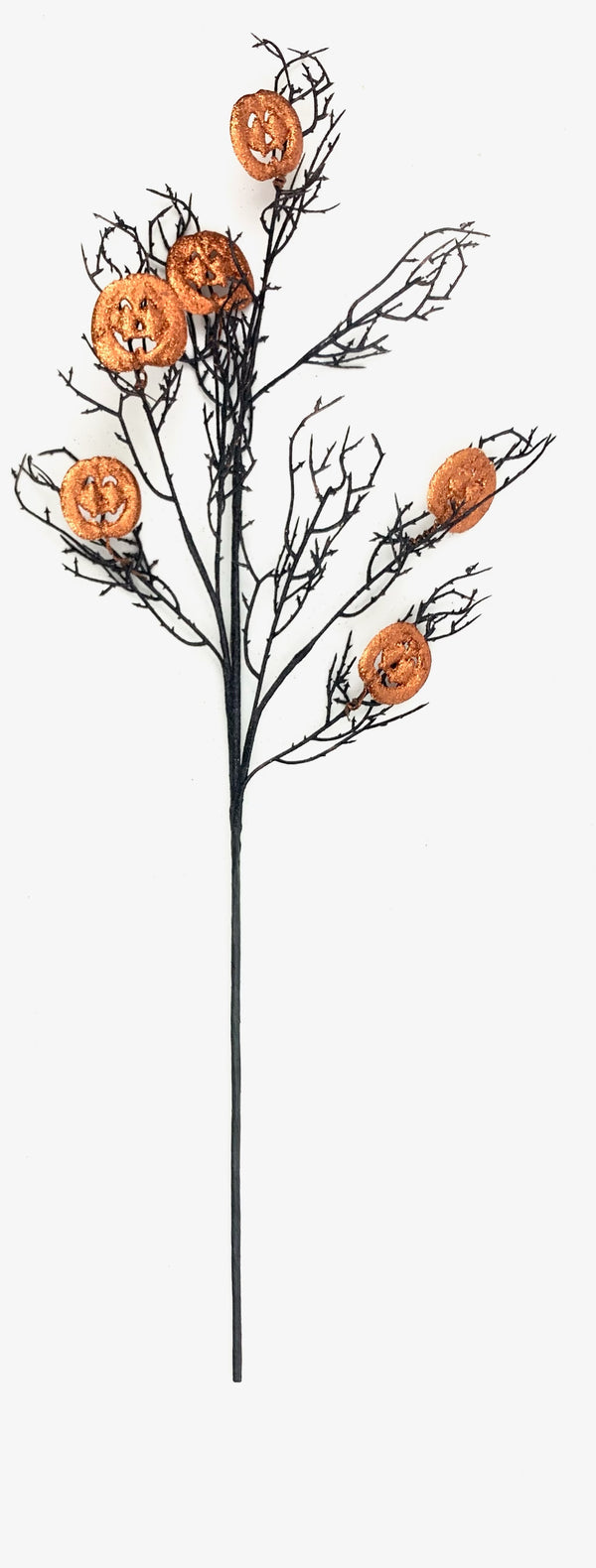 Black and Orange Pumpkin Spray