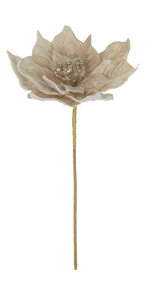 Velvet Poinsettia Champagne Stem Pick