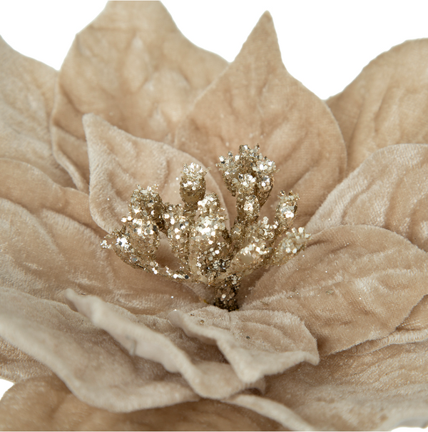 Velvet Poinsettia Champagne Stem Pick