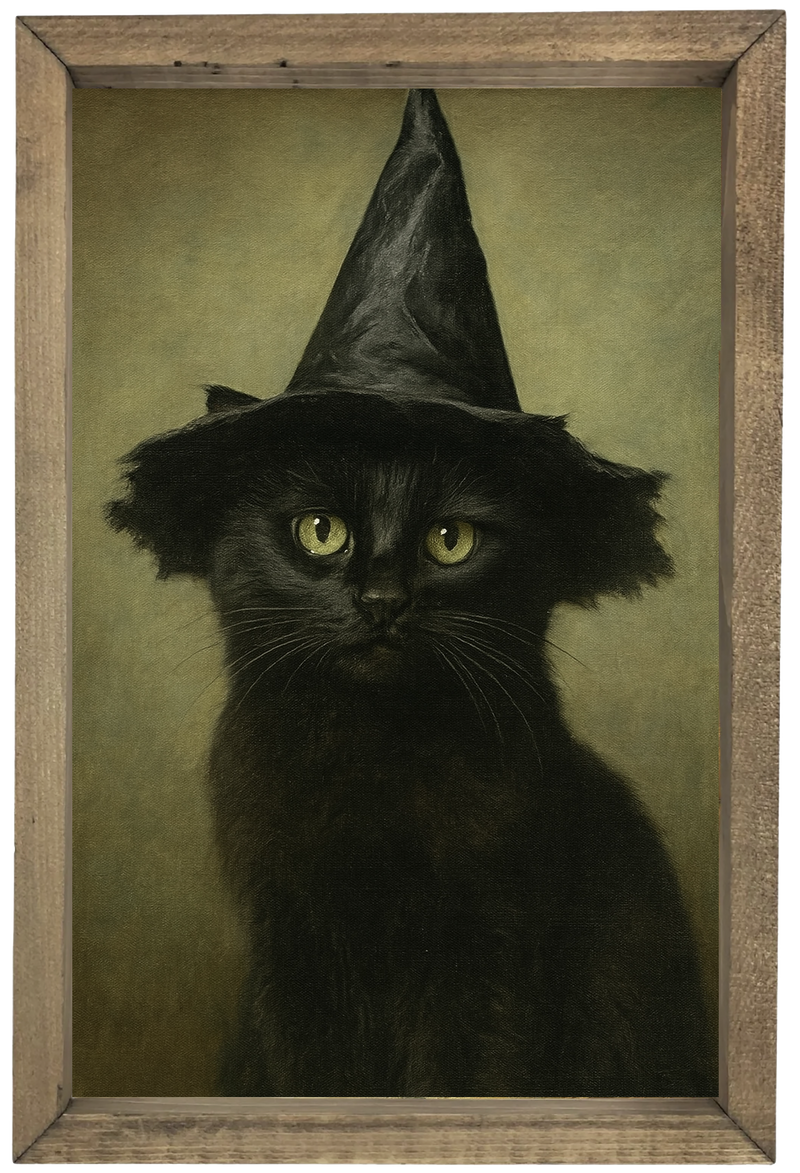 Cat with Witch Hat