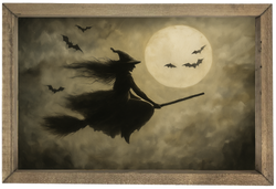 Witch in Flight