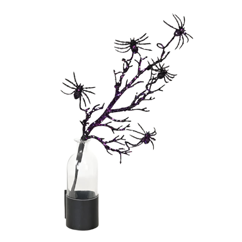 Black Spider Spray