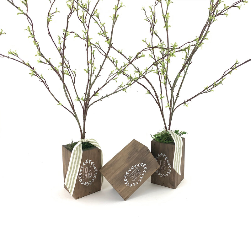 *CLOSEOUT* Easter Box Tree