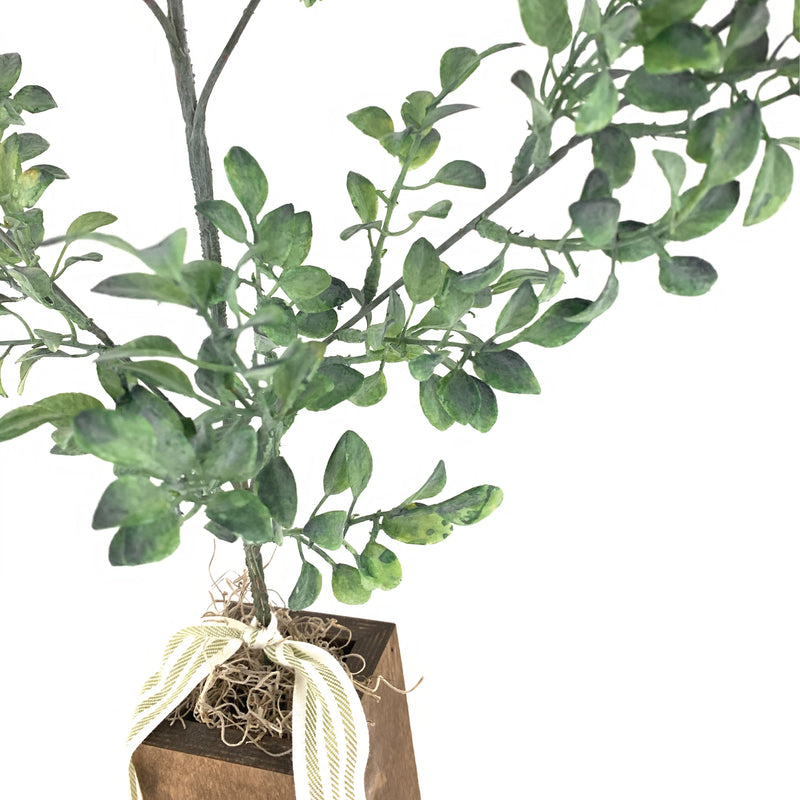 *CLOSEOUT* Easter Box Tree