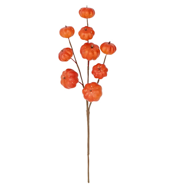 Mini Pumpkin Stem