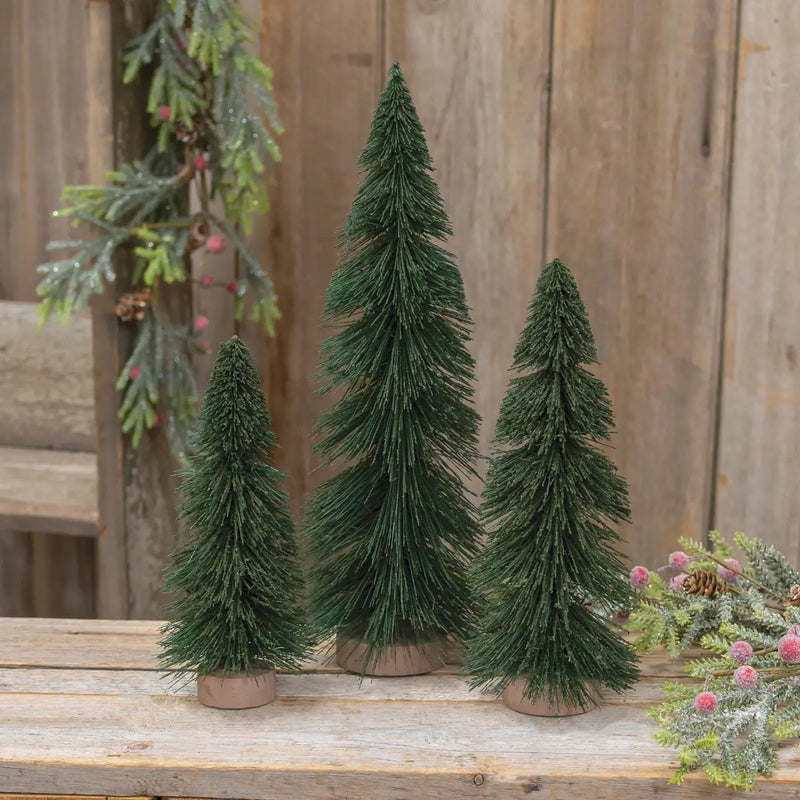 Green Sisal Tree