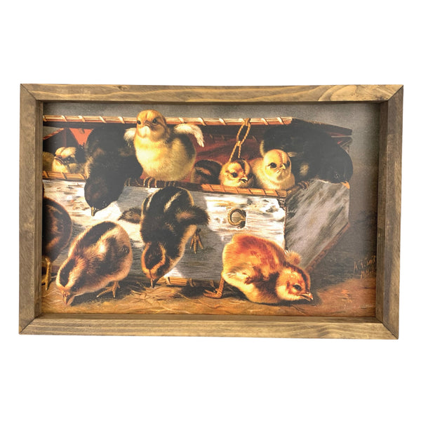 Chicks in a Box <br>Framed Art