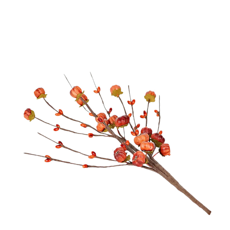 Mini Pumpkin and Berry Stem