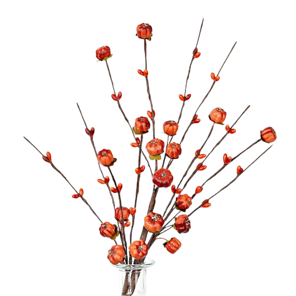 Mini Pumpkin and Berry Stem