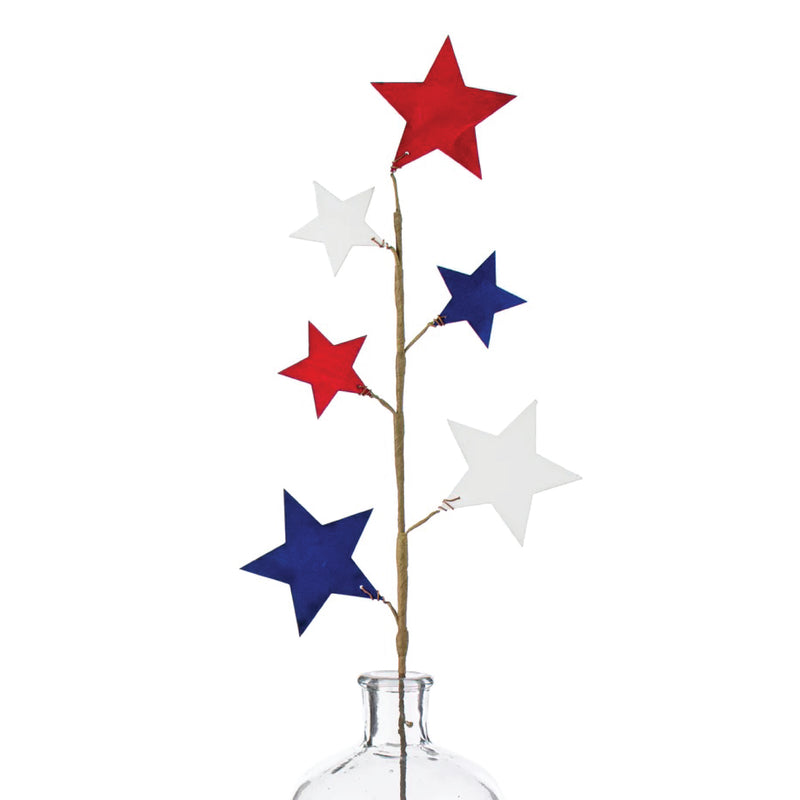 Fourth of July Stars Spray