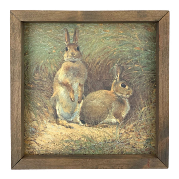 Vintage Rabbit <br>Framed Art
