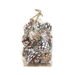 *CLOSEOUT* Bag of Pinecones