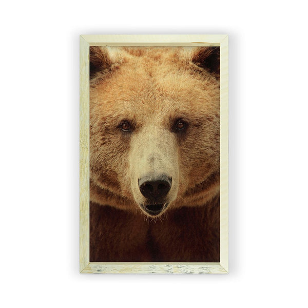Bear <br>Framed Photography