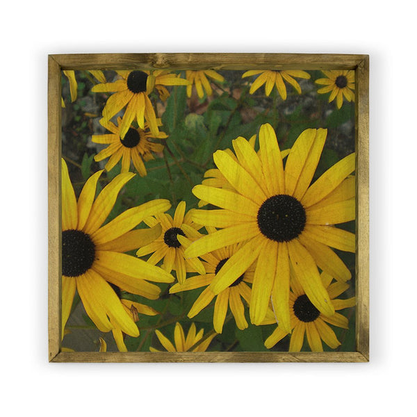 Yellow Daisies <br>Framed Photography