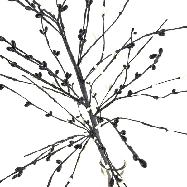Black & White Berry Spray
